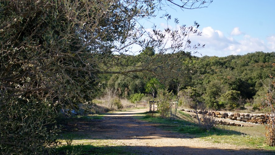 garrigue saint jean le sec