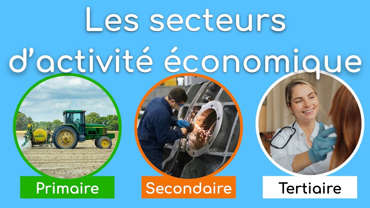 secteurs economiques